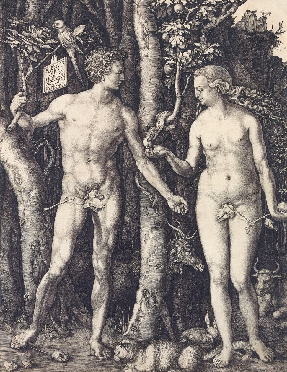 The Fall of Man by Albrecht Durer by Albrecht Dürer