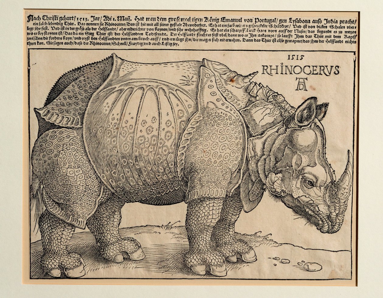 The Rhinoceros by Albrecht Dürer or Duerer