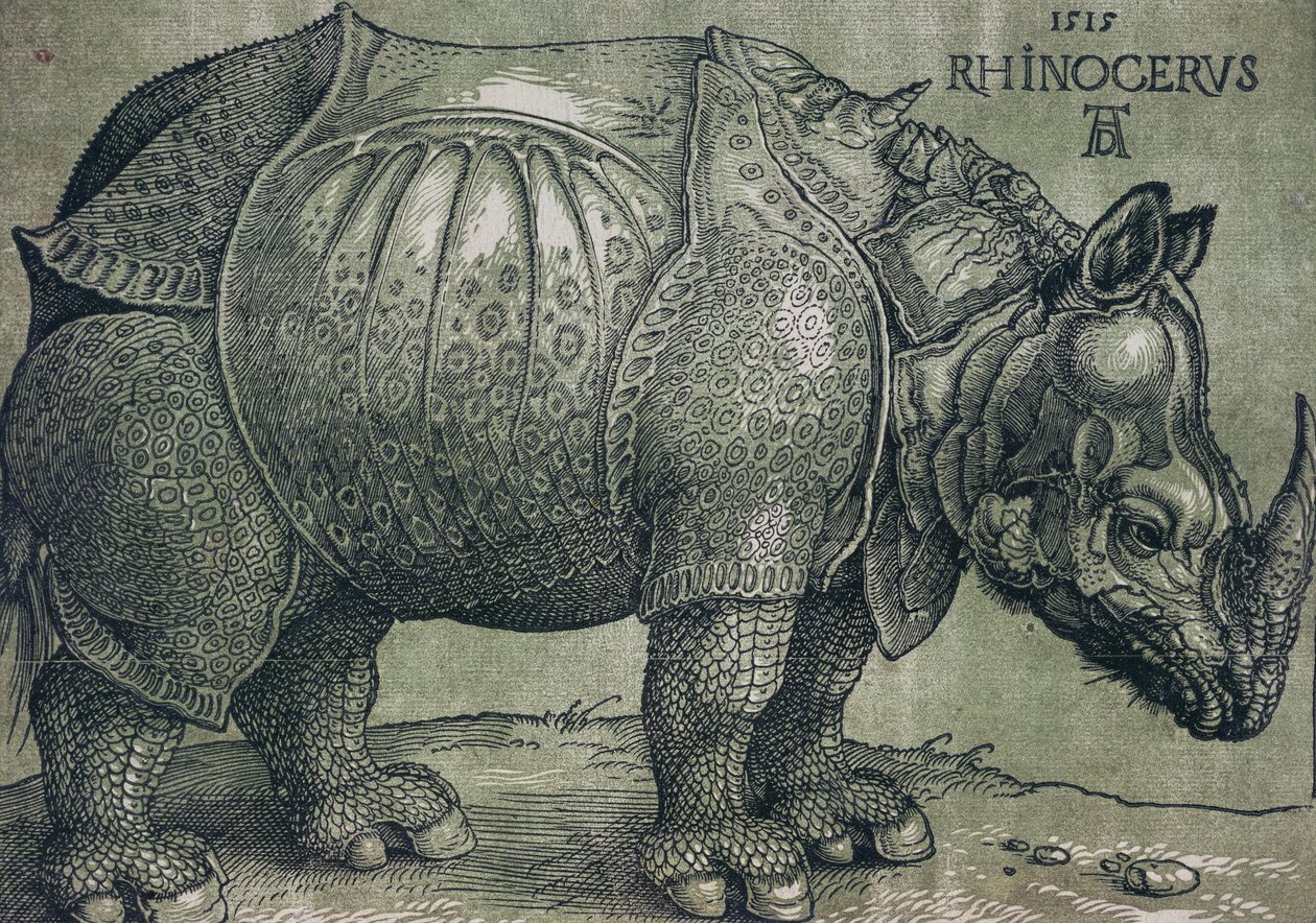 The Rhinoceros by Albrecht Dürer
