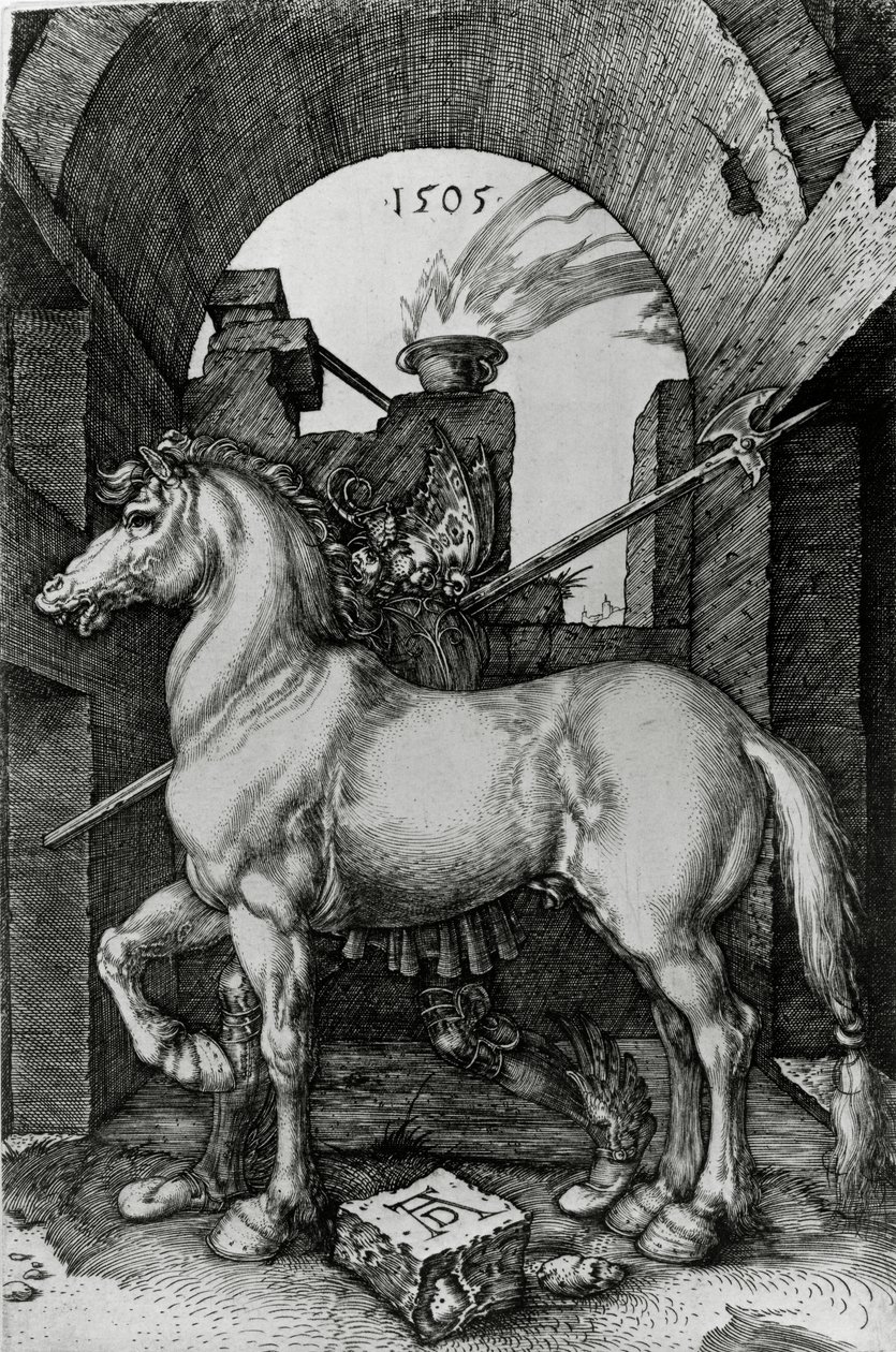 The Small Horse by Albrecht Dürer