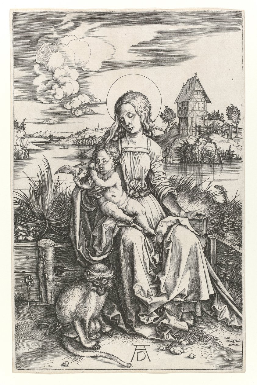 The Virgin with the monkey, c.1498 by Albrecht Dürer
