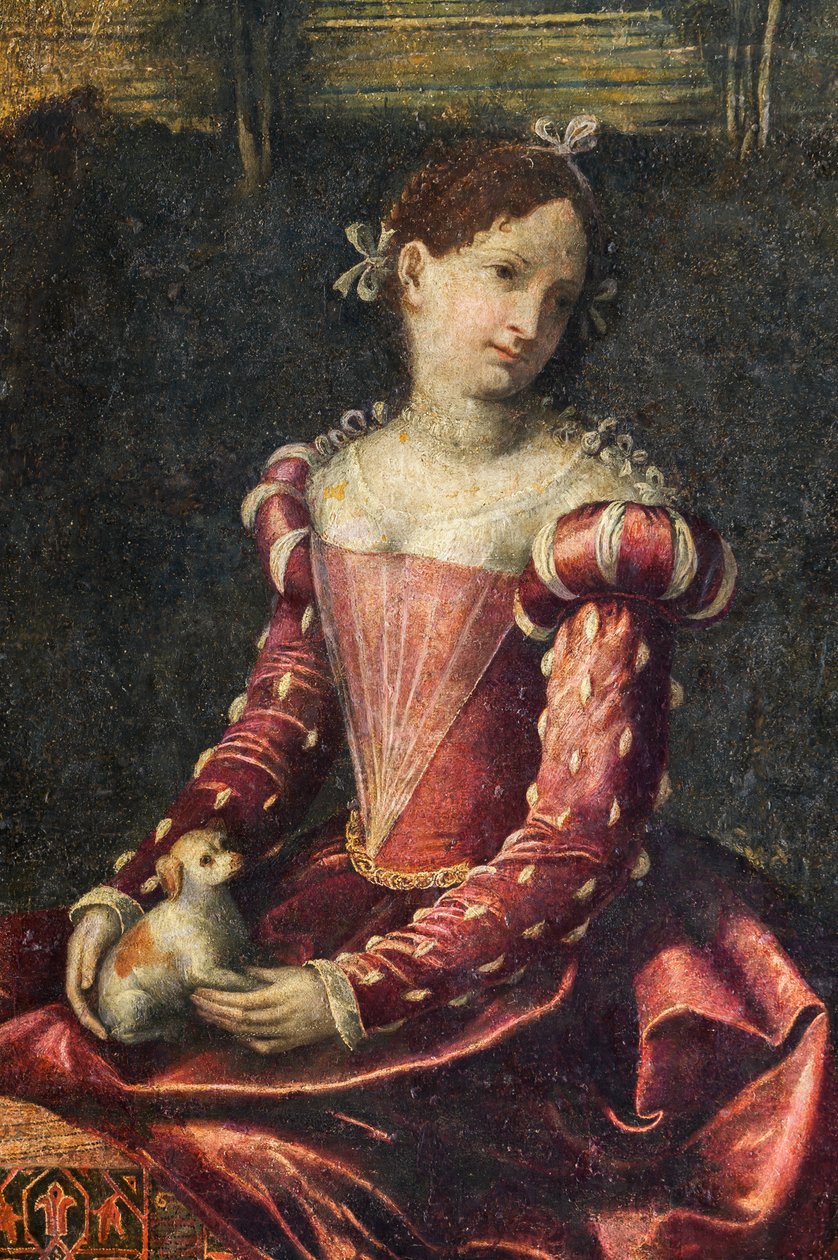 Portrait of a noblewoman (detail) by Alessandro Bonvicino Moretto