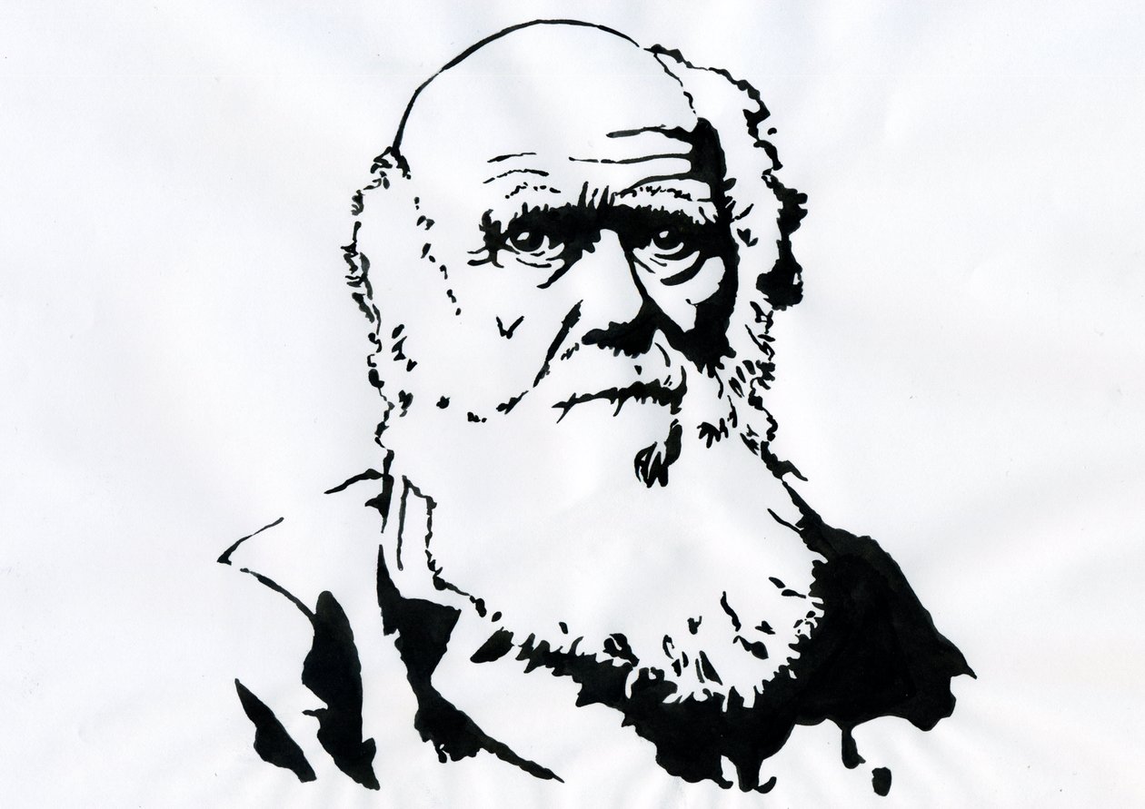 Portrait of Charles Darwin by Alessandro Lonati