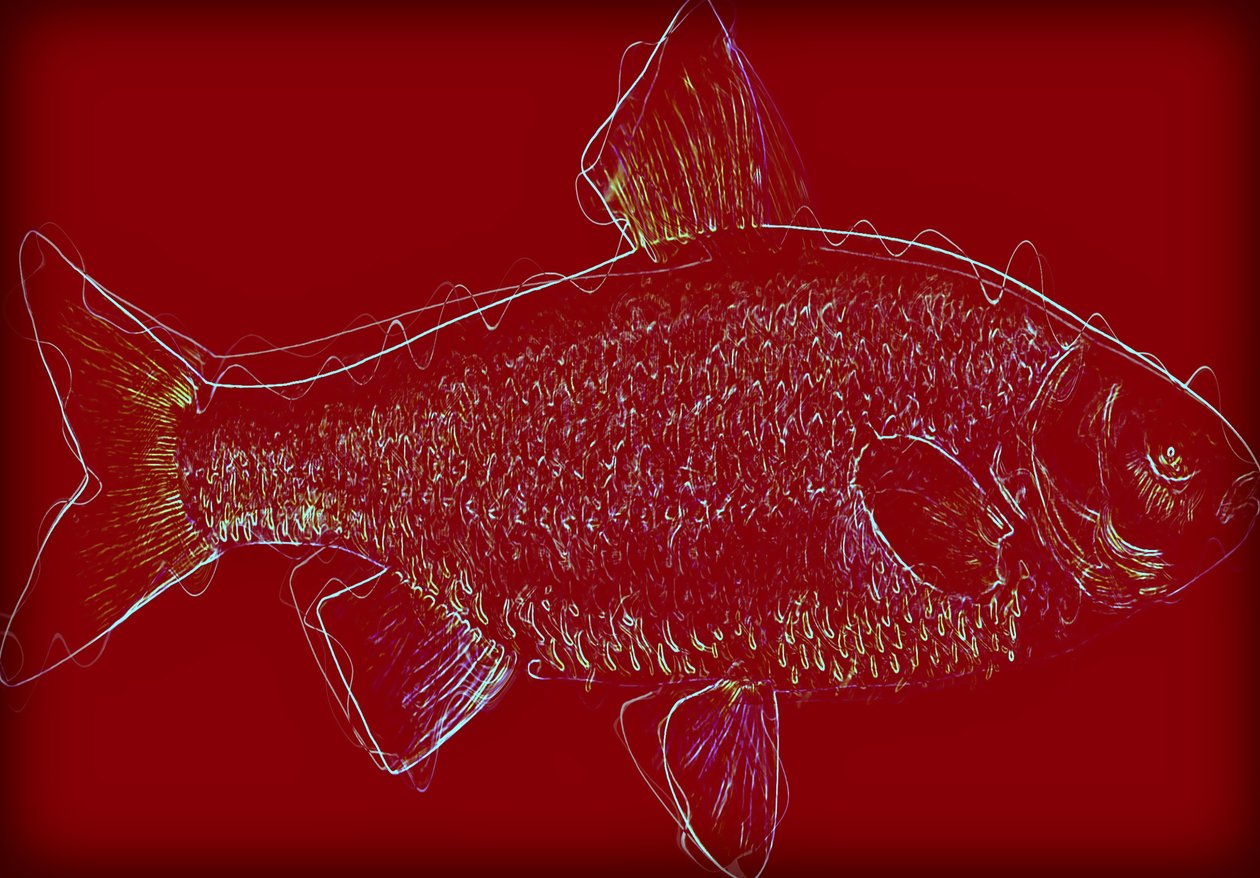 Fish V by Alex Caminker