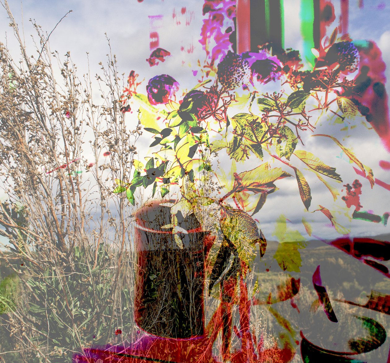 Still life, 2019 by Alex Caminker