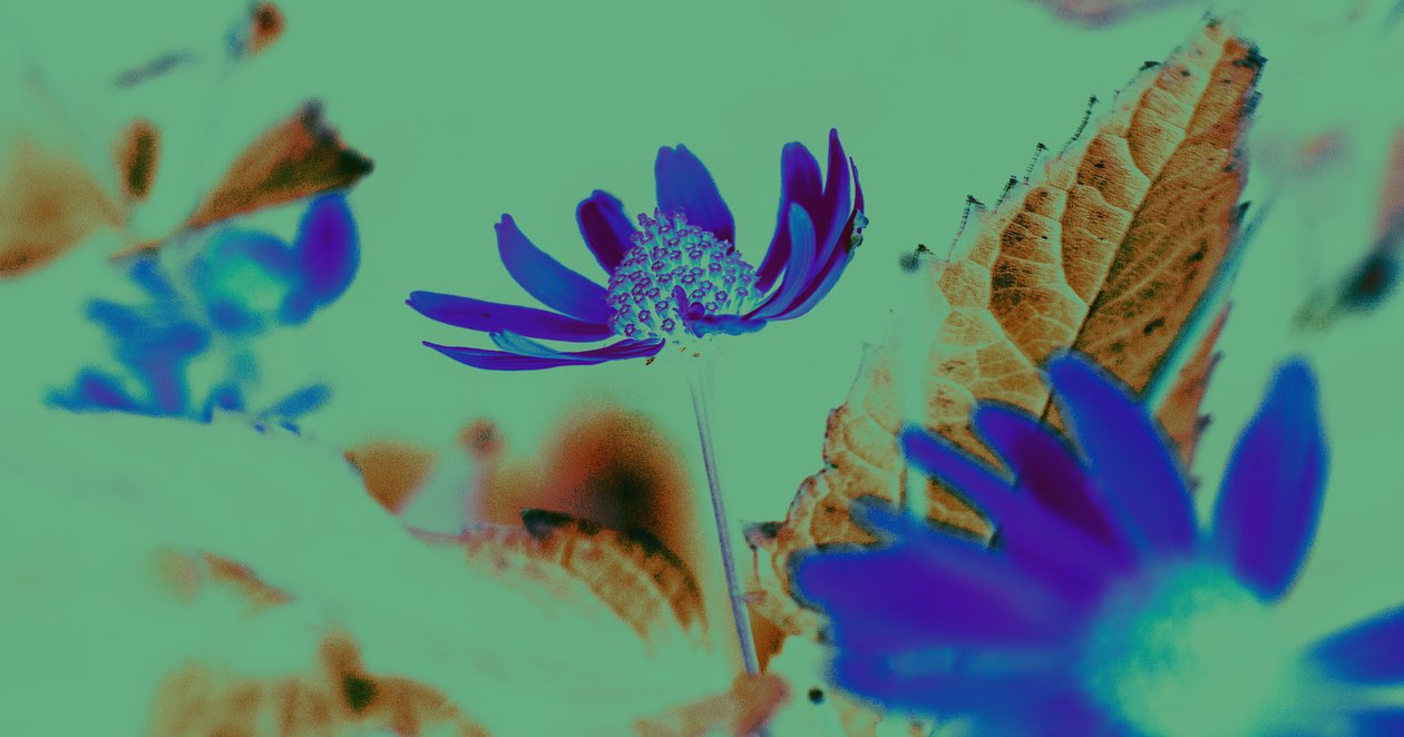 UV Vision, 2019 by Alex Caminker