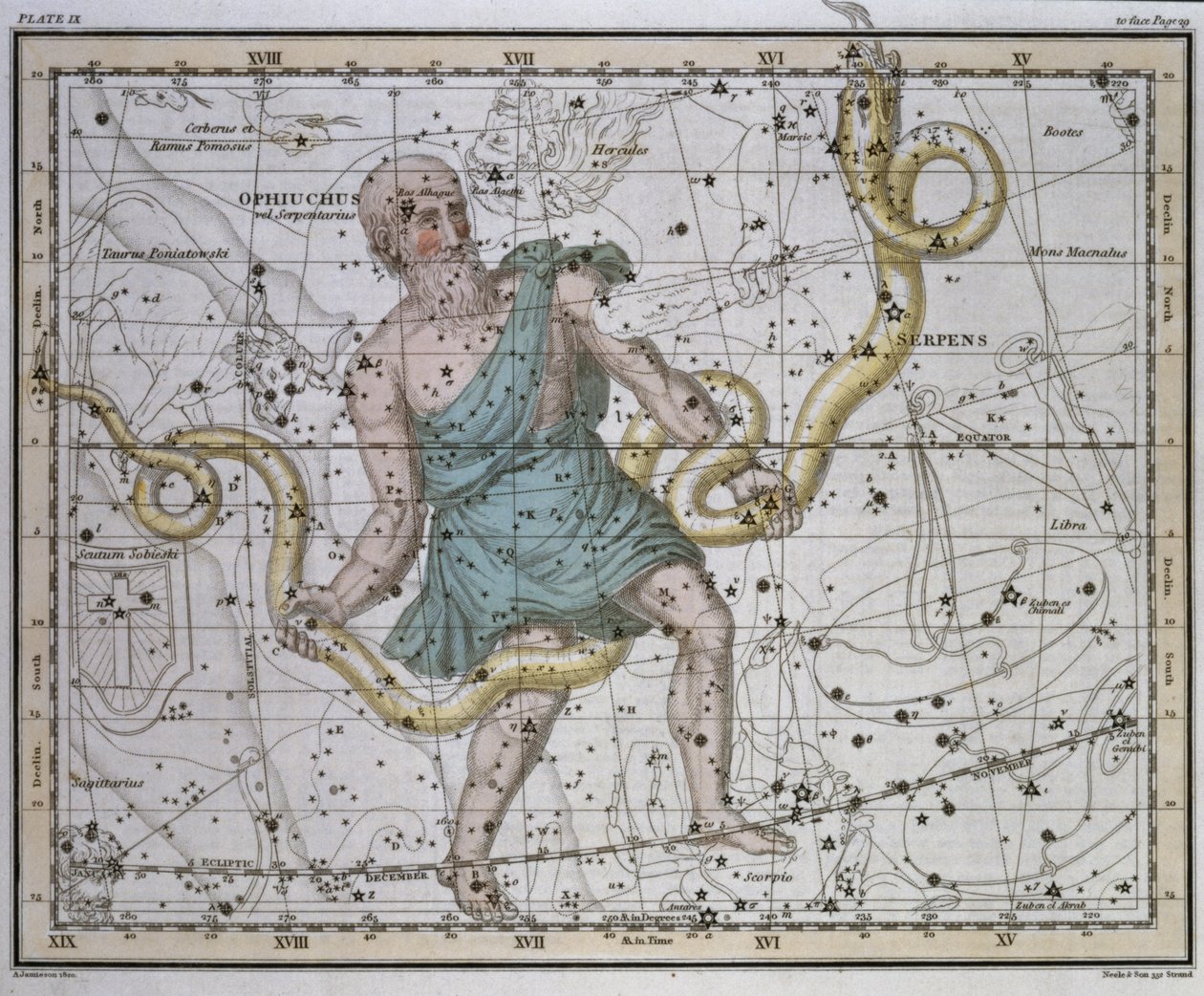 Ophiuchus or Serpentarius, from 