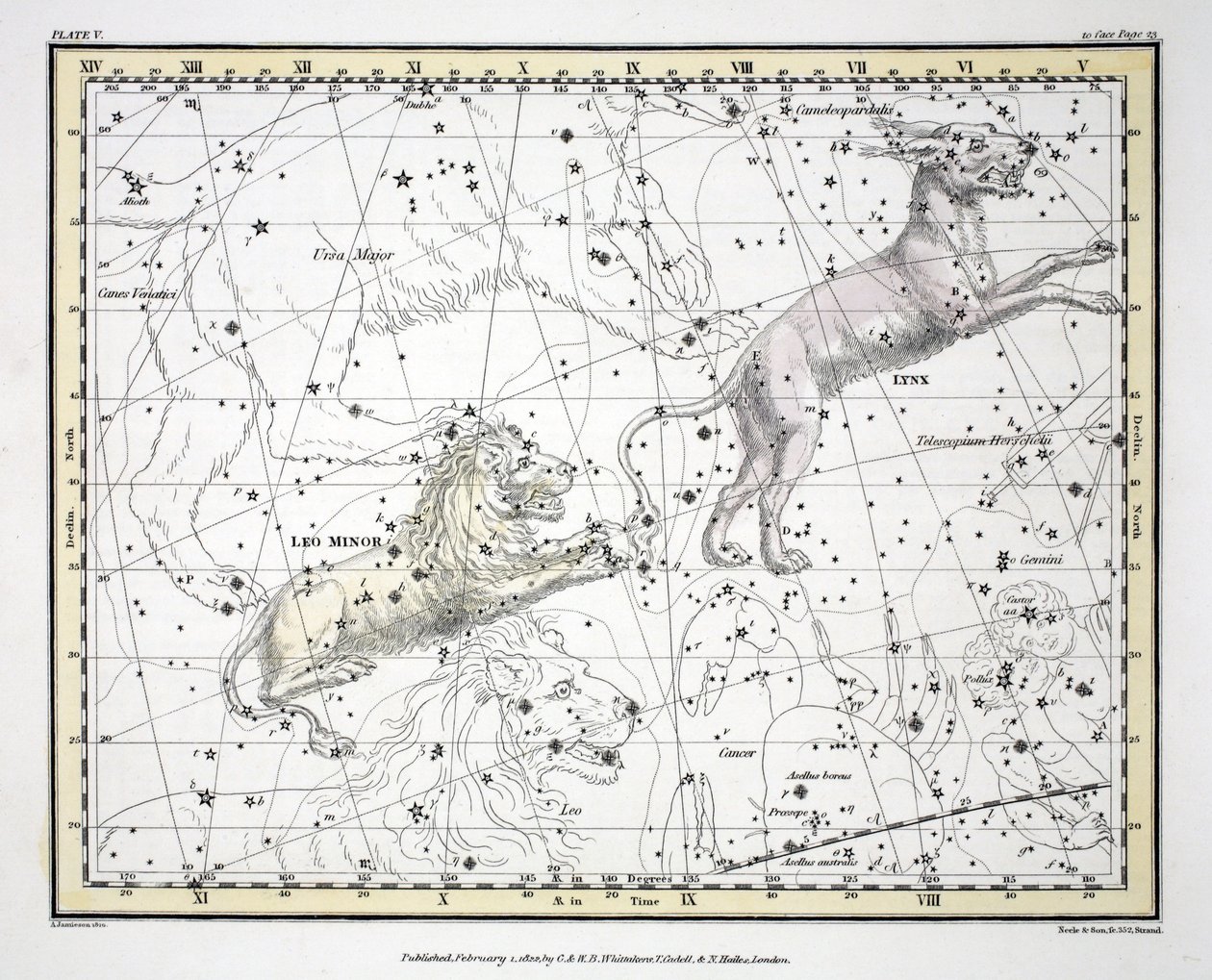 The Constellations (Plate V) Lynx, Leo Minor, from 