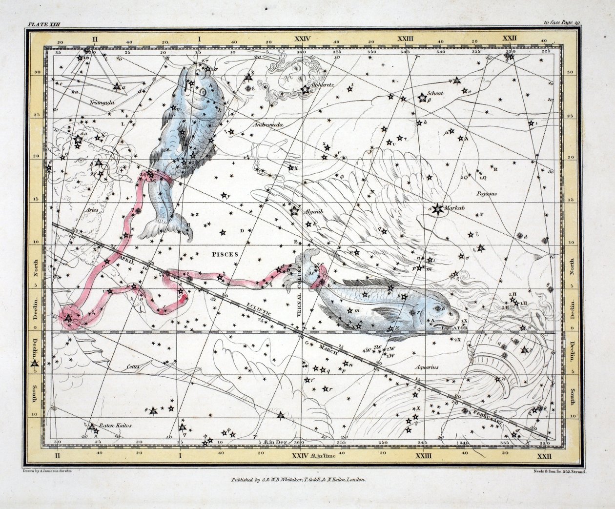 The Constellations (Plate XXII) Pisces, from 