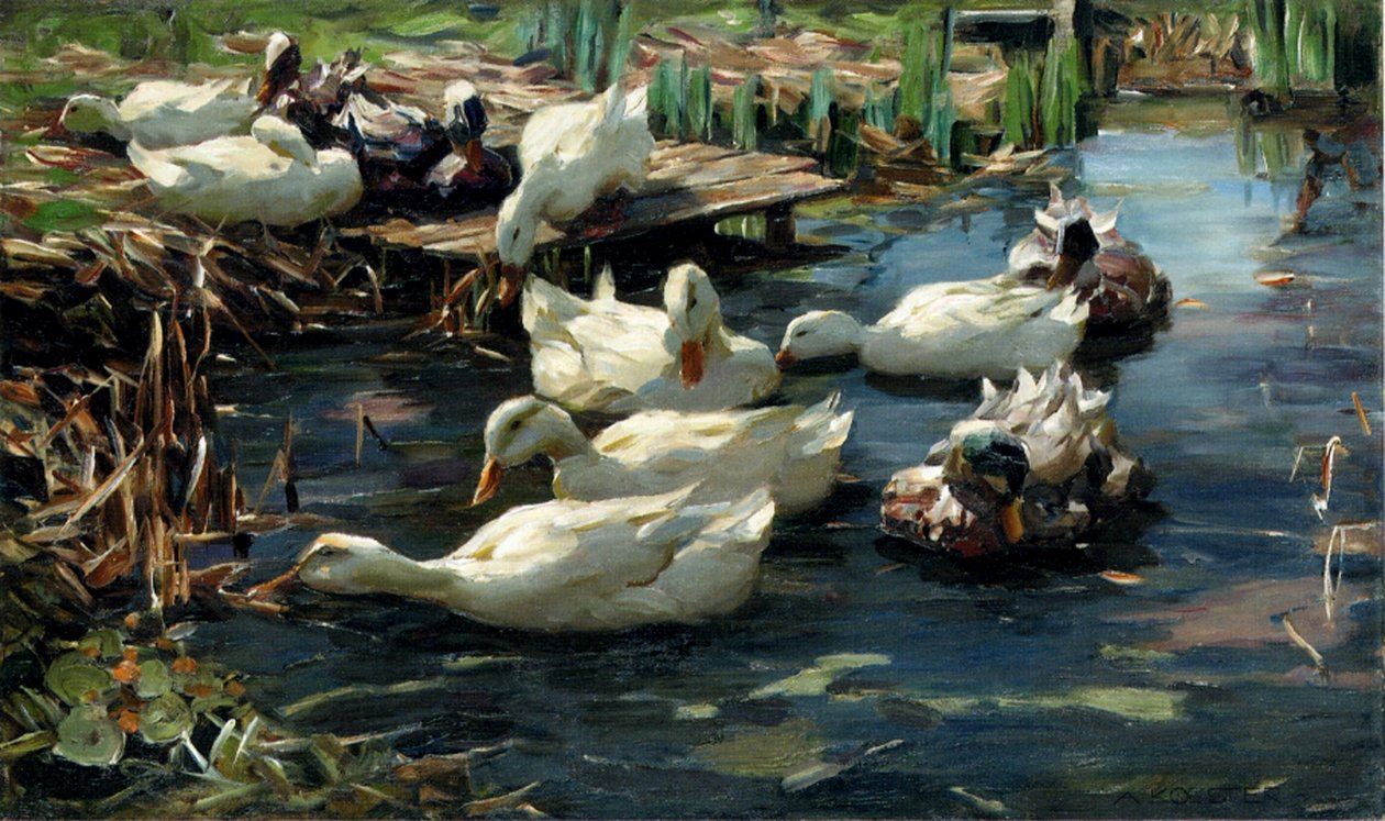 Ducks in a Pool by Alexander Koester