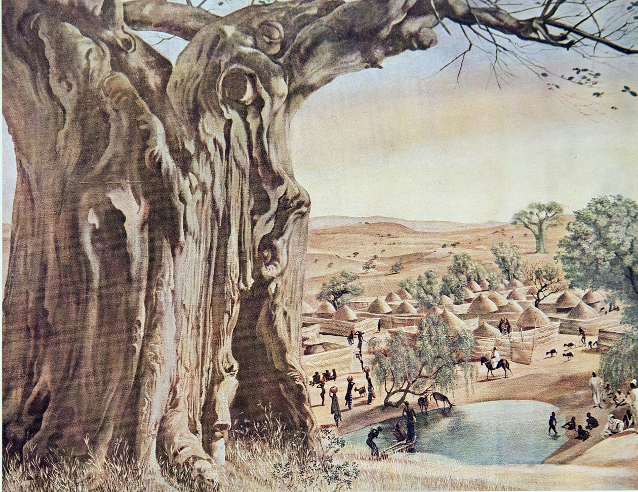 A Baobab (Sudan), from Dessins et Peintures d