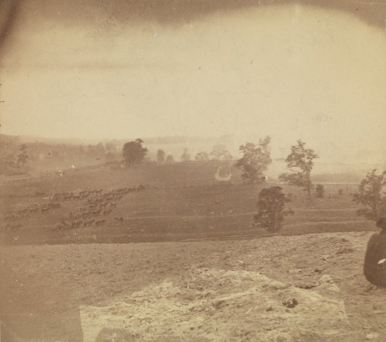 Antietam Battlefield, 1862 by Alexander Gardner