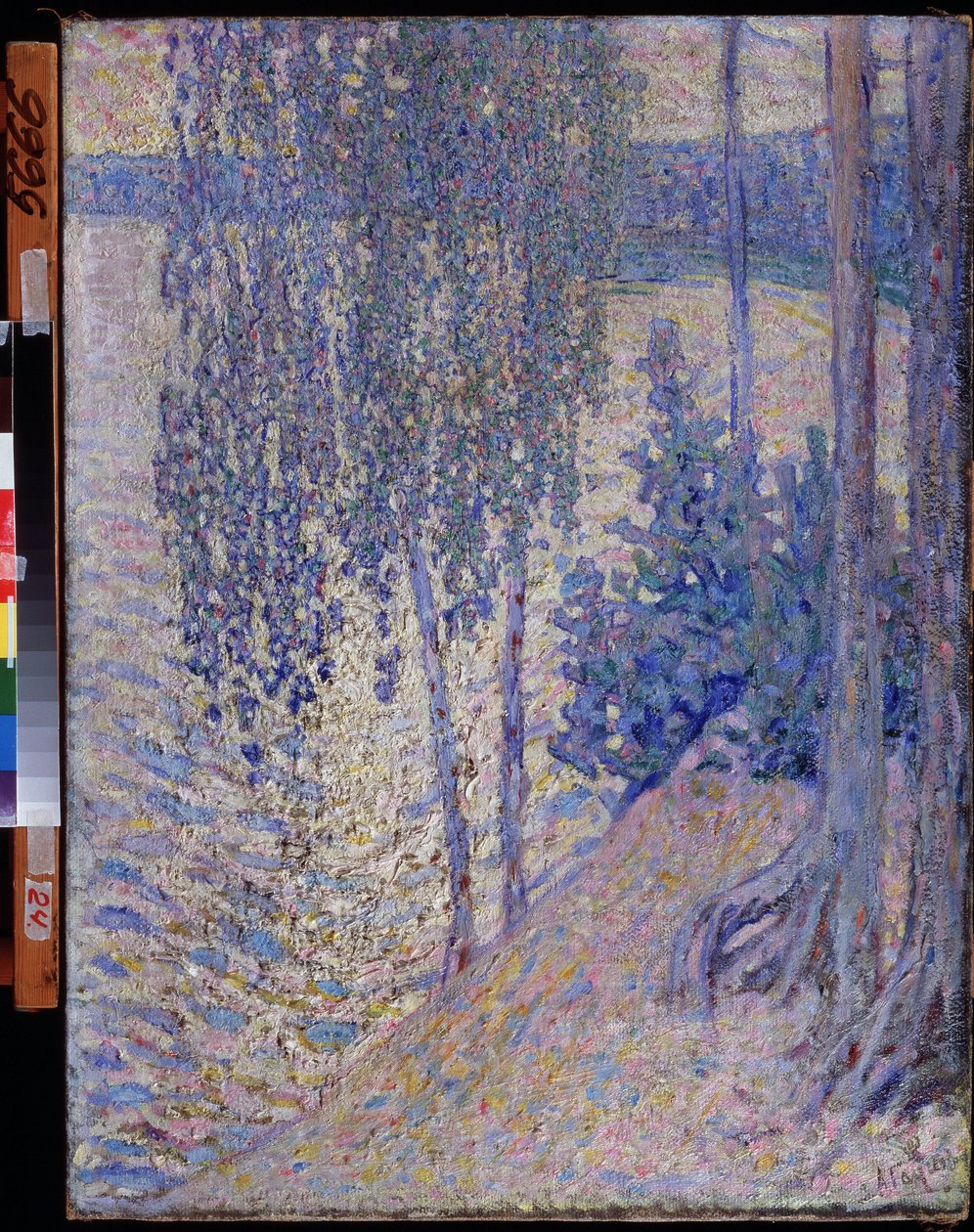 Birches by Alexander Gaush