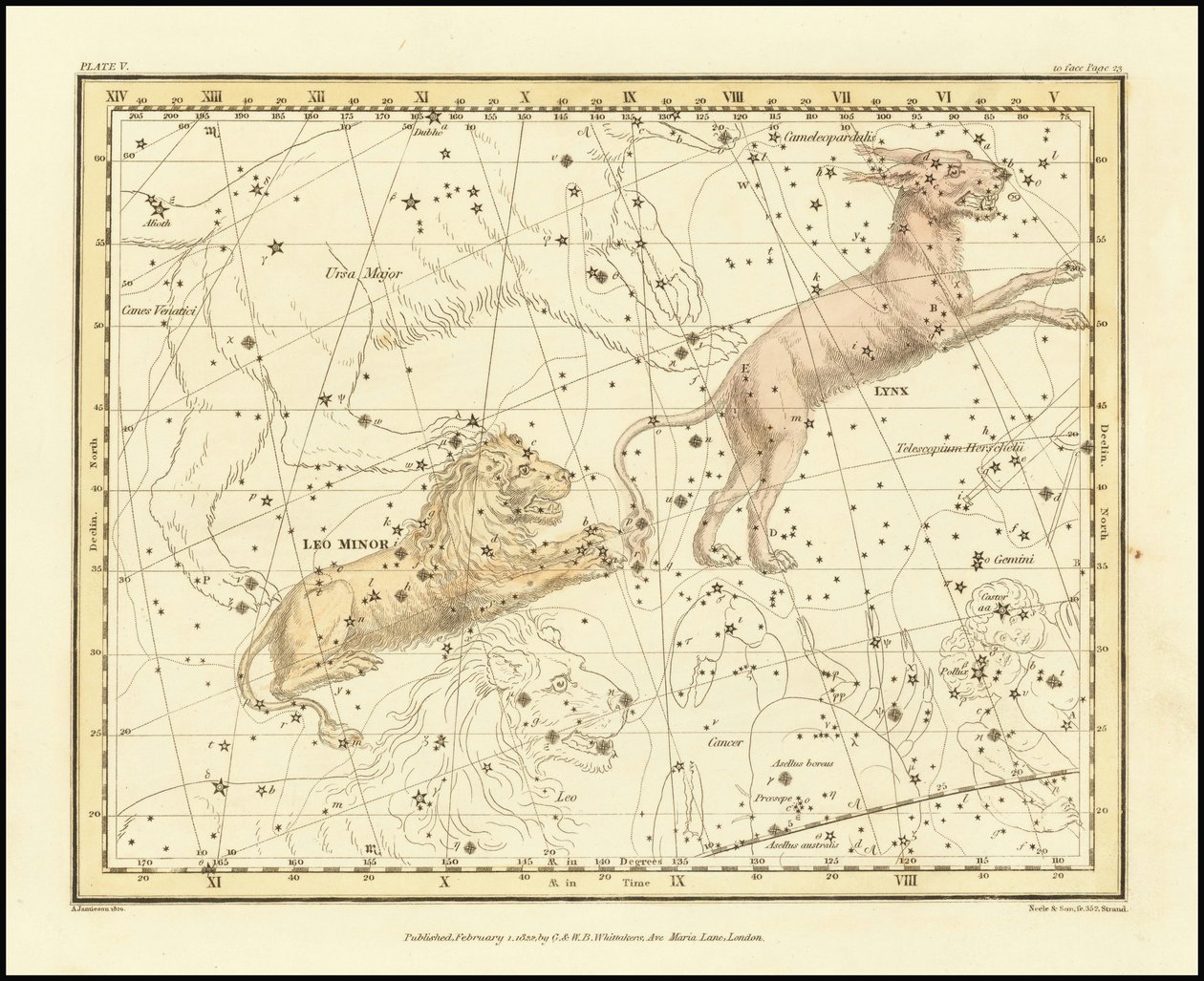 1822 - Lynx & Leo Minor by Alexander Jamieson