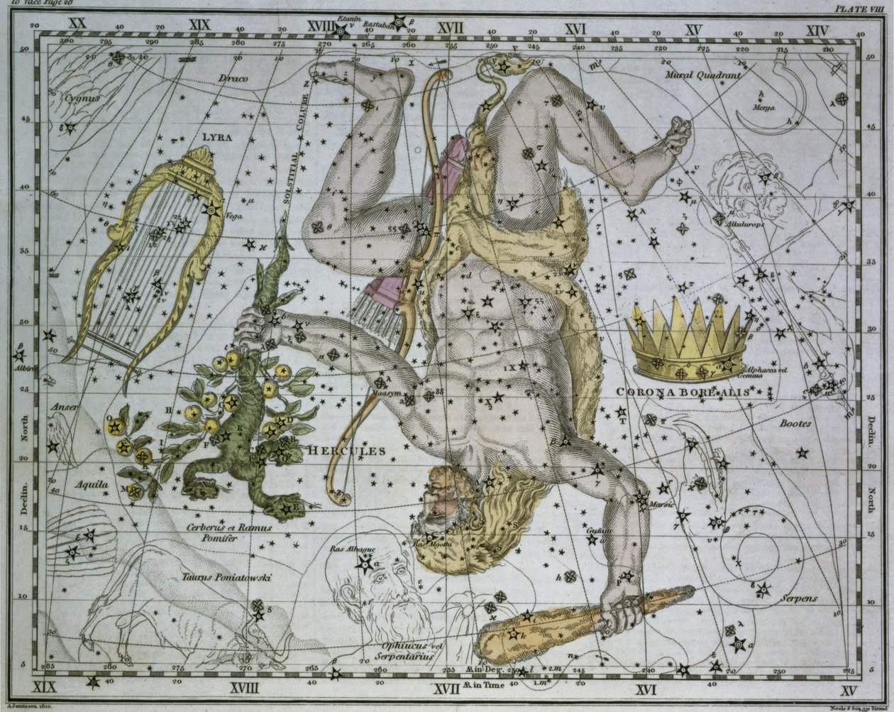 Hercules, from 