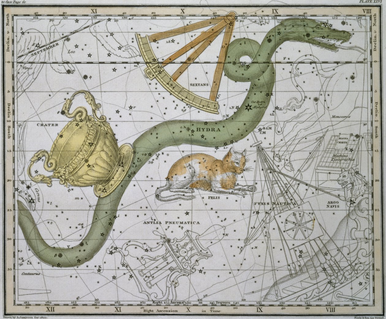 Hydra, from 