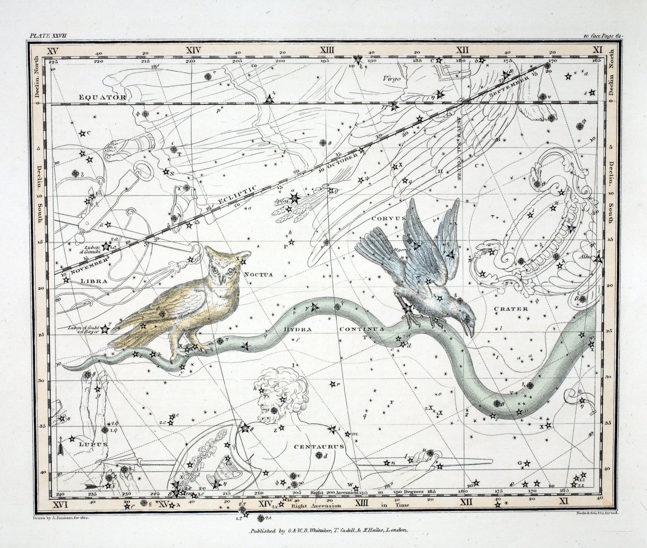 The Constellations (Plate XXVII) Hydra Continua, Crater, Covus, Centaurus et Lupus from 