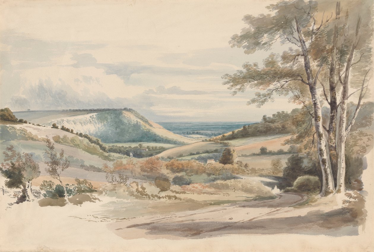Boxhill from West Humble Lane by Alexander Monro