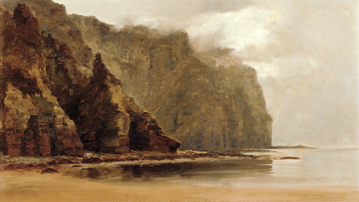 The Minaum Cliffs, Achill Island, County Connaught, Ireland by Alexander Williams
