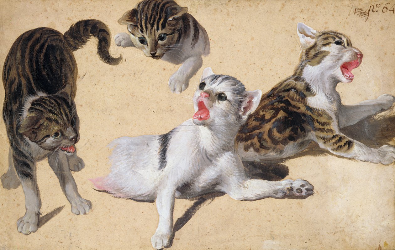 Four Studies of Kittens by Alexandre Francois Desportes