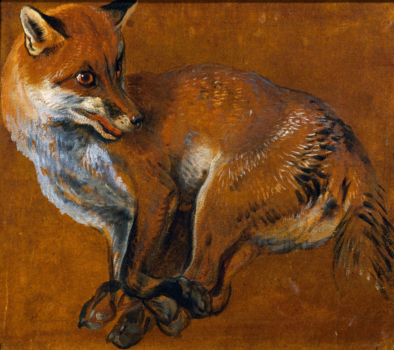 Fox with Legs Tied by Alexandre-Francois Desportes