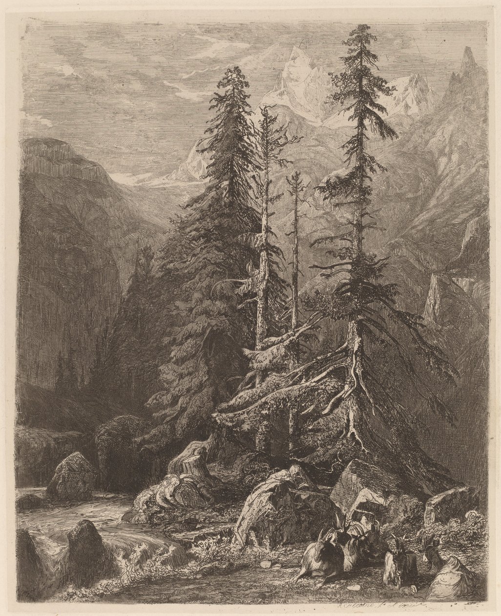 Etching Trials by Alexandre Calame, I, pl. 21 by Alexandre Calame
