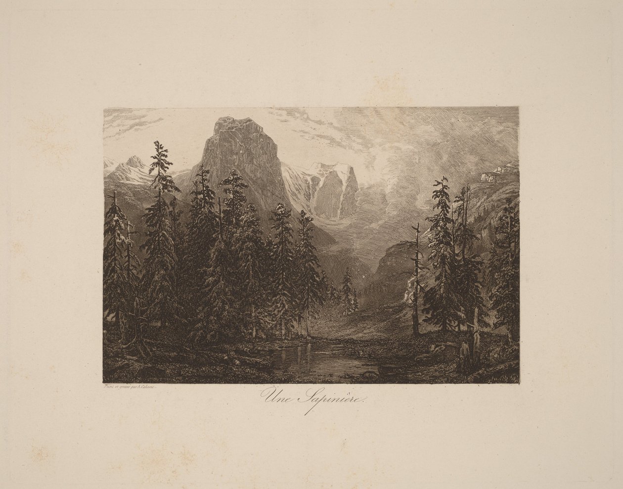 A Fir Plantation by Alexandre Calame
