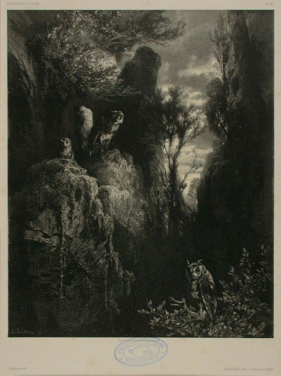 Untitled by Alexandre Calame