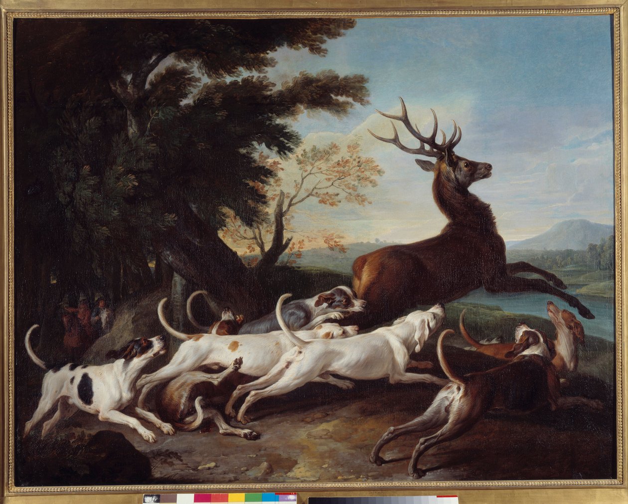 Hunting: 