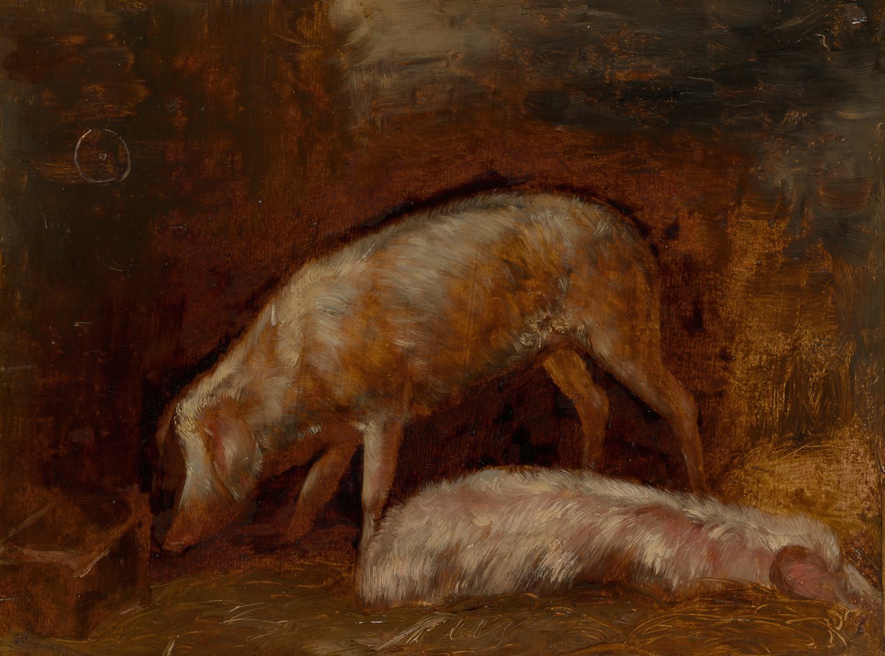 Study of Pigs, 1850-60 by Alexandre Gabriel Decamps
