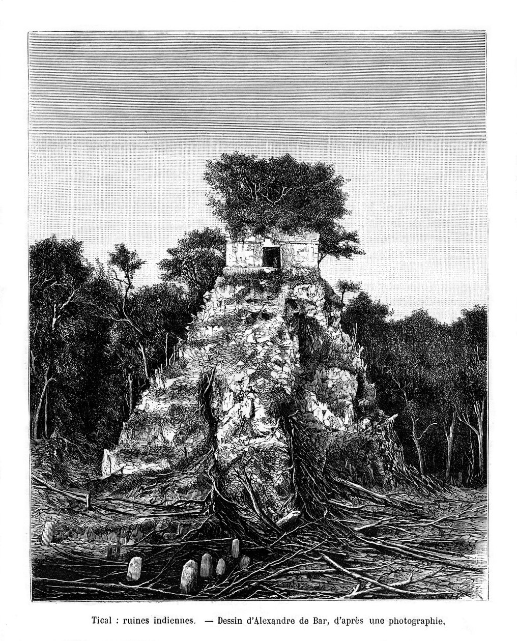 Mayan ruins, Tikal, Guatemala by Alexandre de Bar