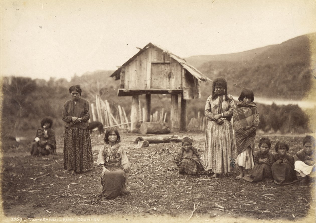Taumaranui - King Country, 29th May 1885 by Alfred Burton