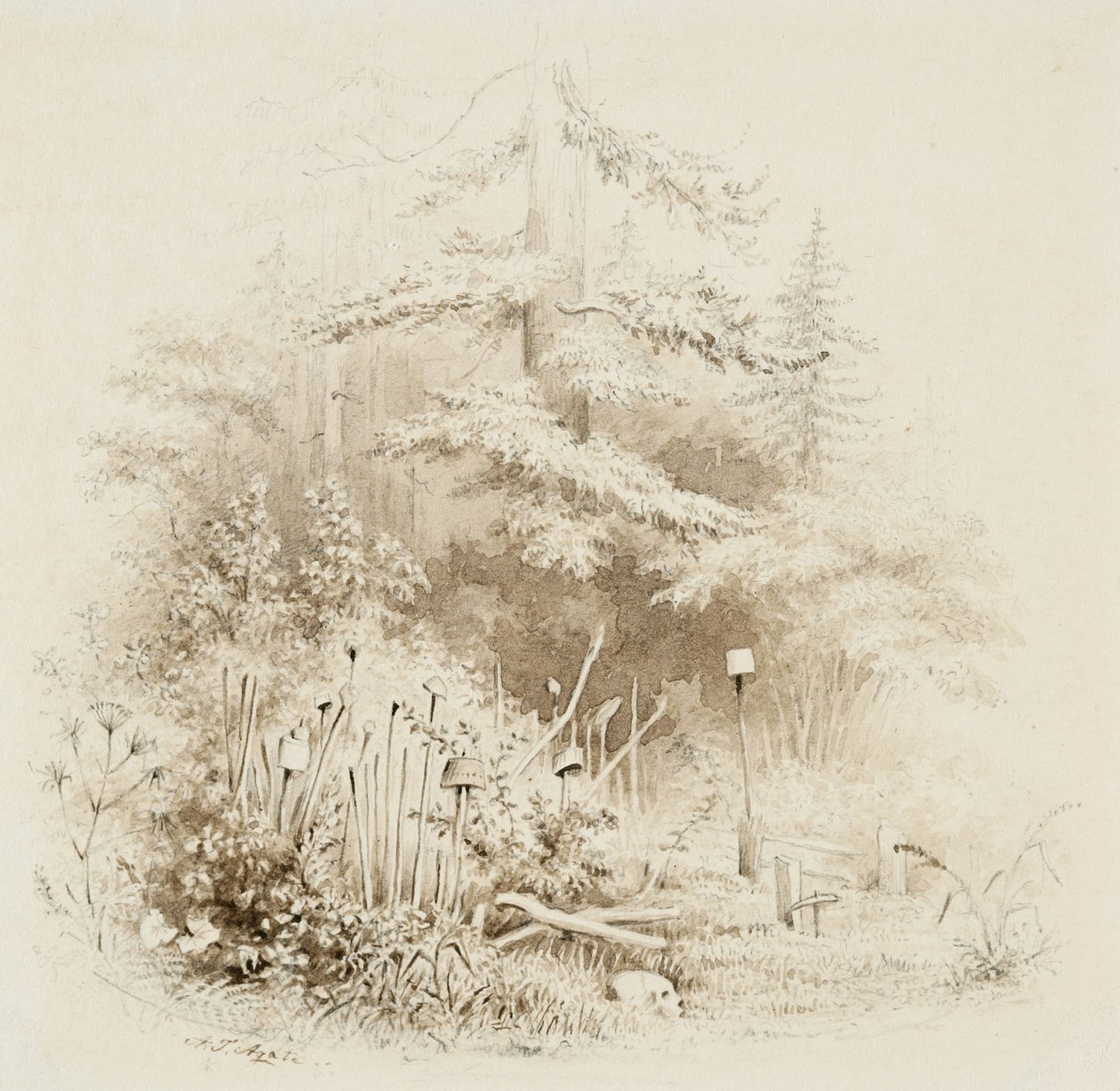 Indian Burial Place, Oregon, 1841 by Alfred Thomas Agate