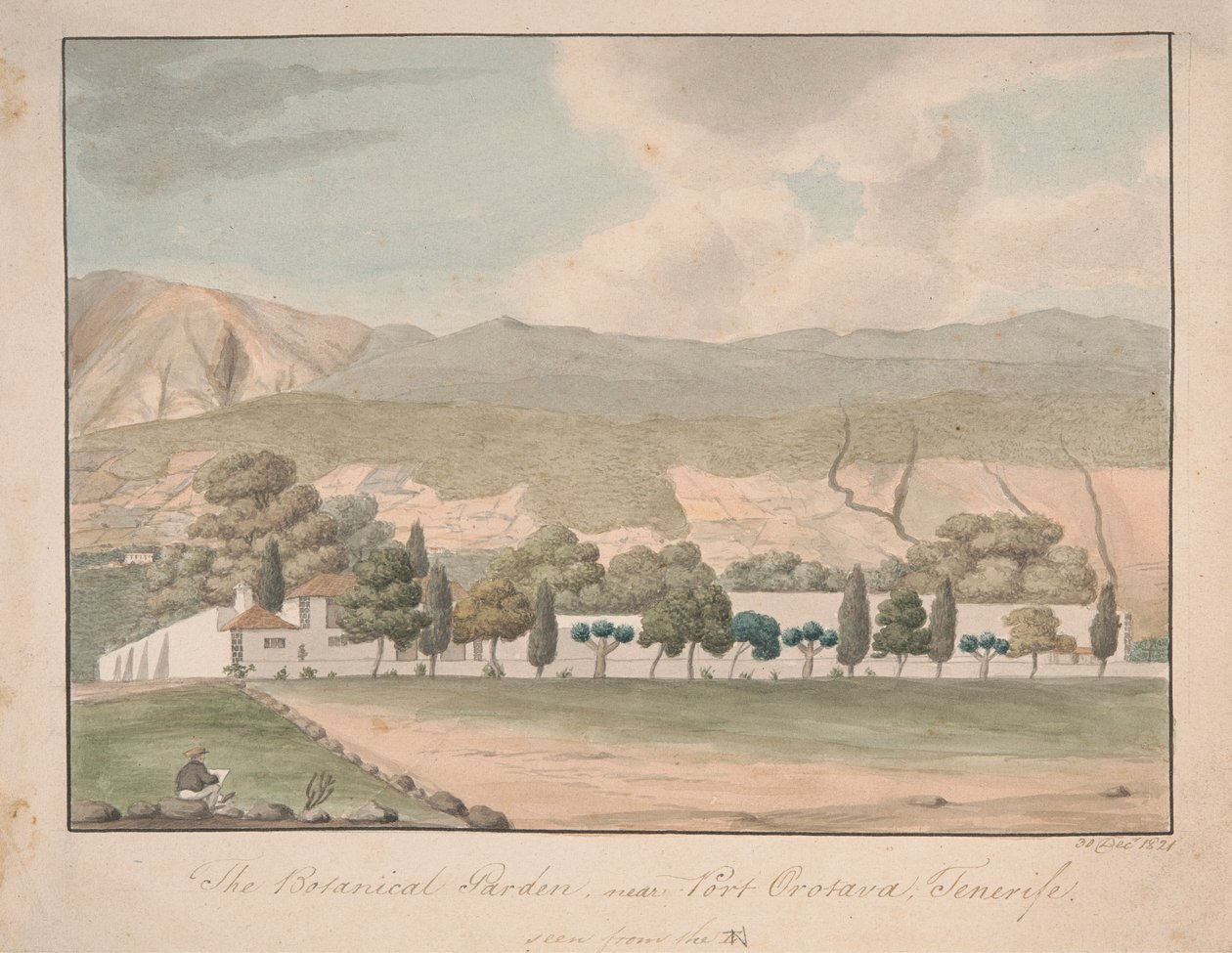 The Botanical Garden near Port Orotava, Tenerife by Alfred Diston