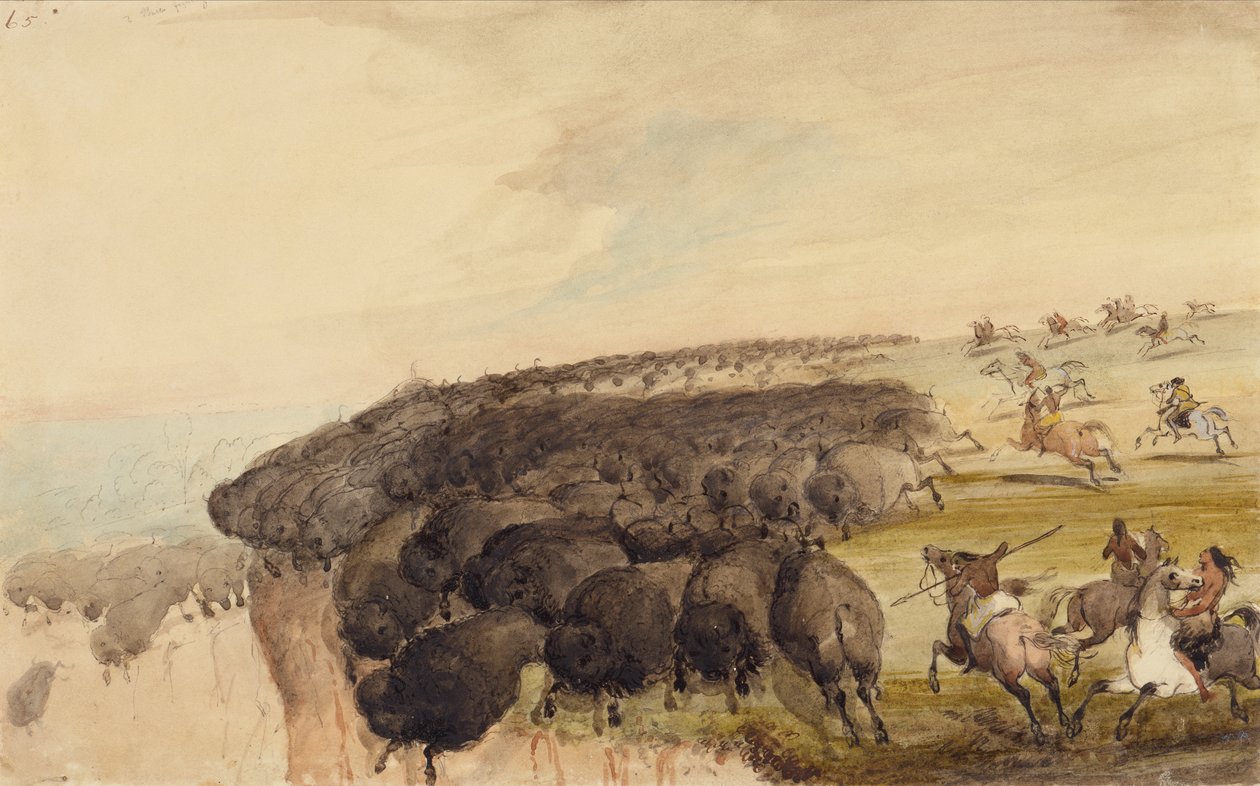 Driving Herds of Buffalo over a Precipice, c.1837 by Alfred Jacob Miller