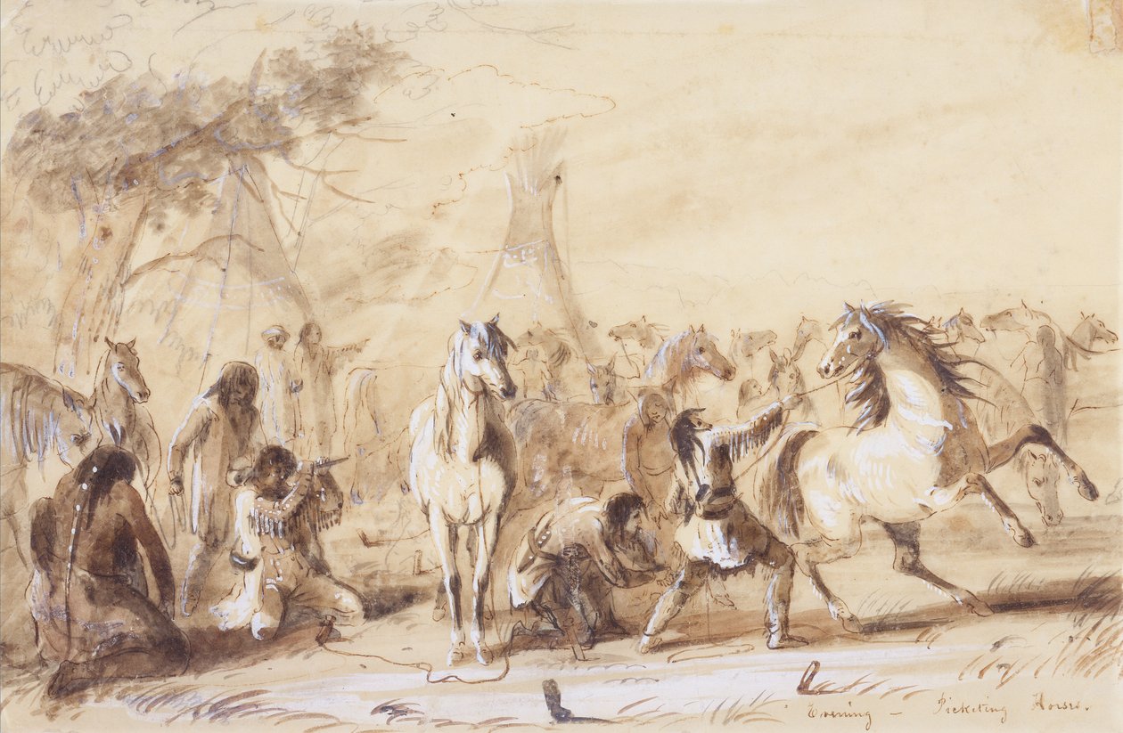 Evening, Picketing Horses by Alfred Jacob Miller