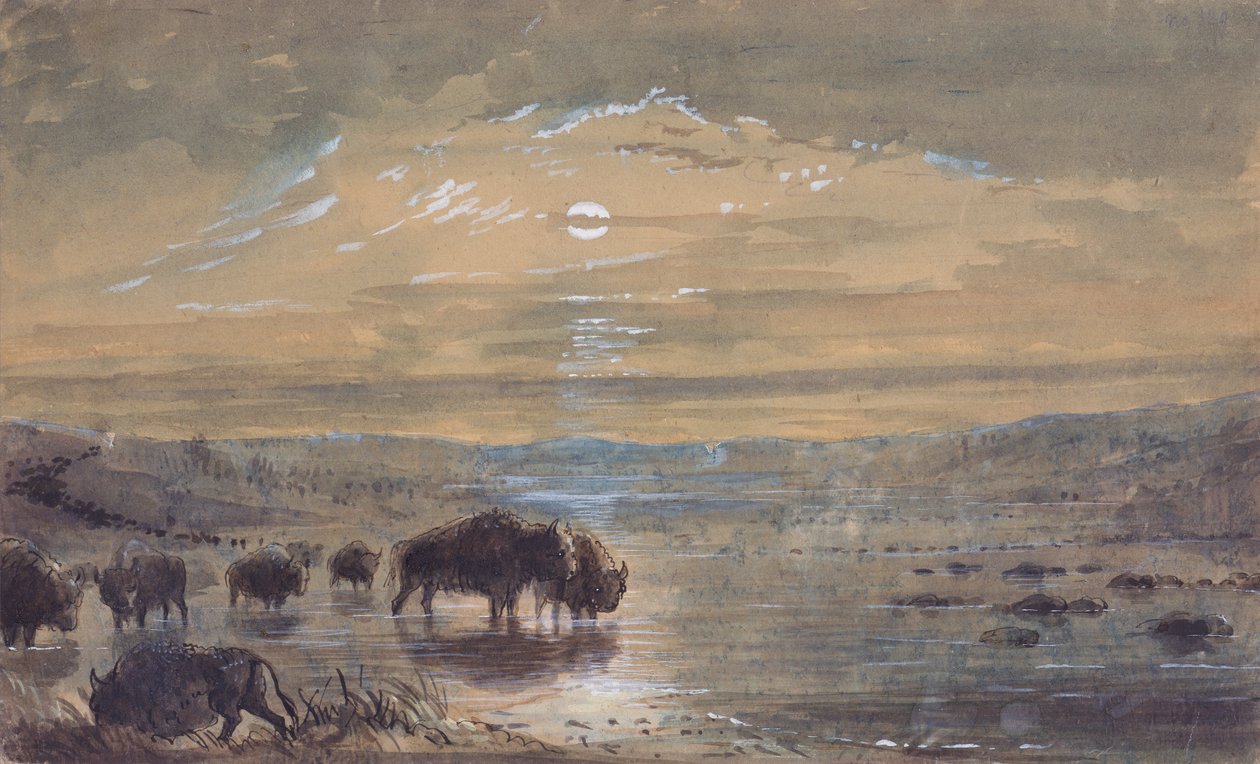 Night Scene, Buffaloes on the Prairie, c.1837 by Alfred Jacob Miller
