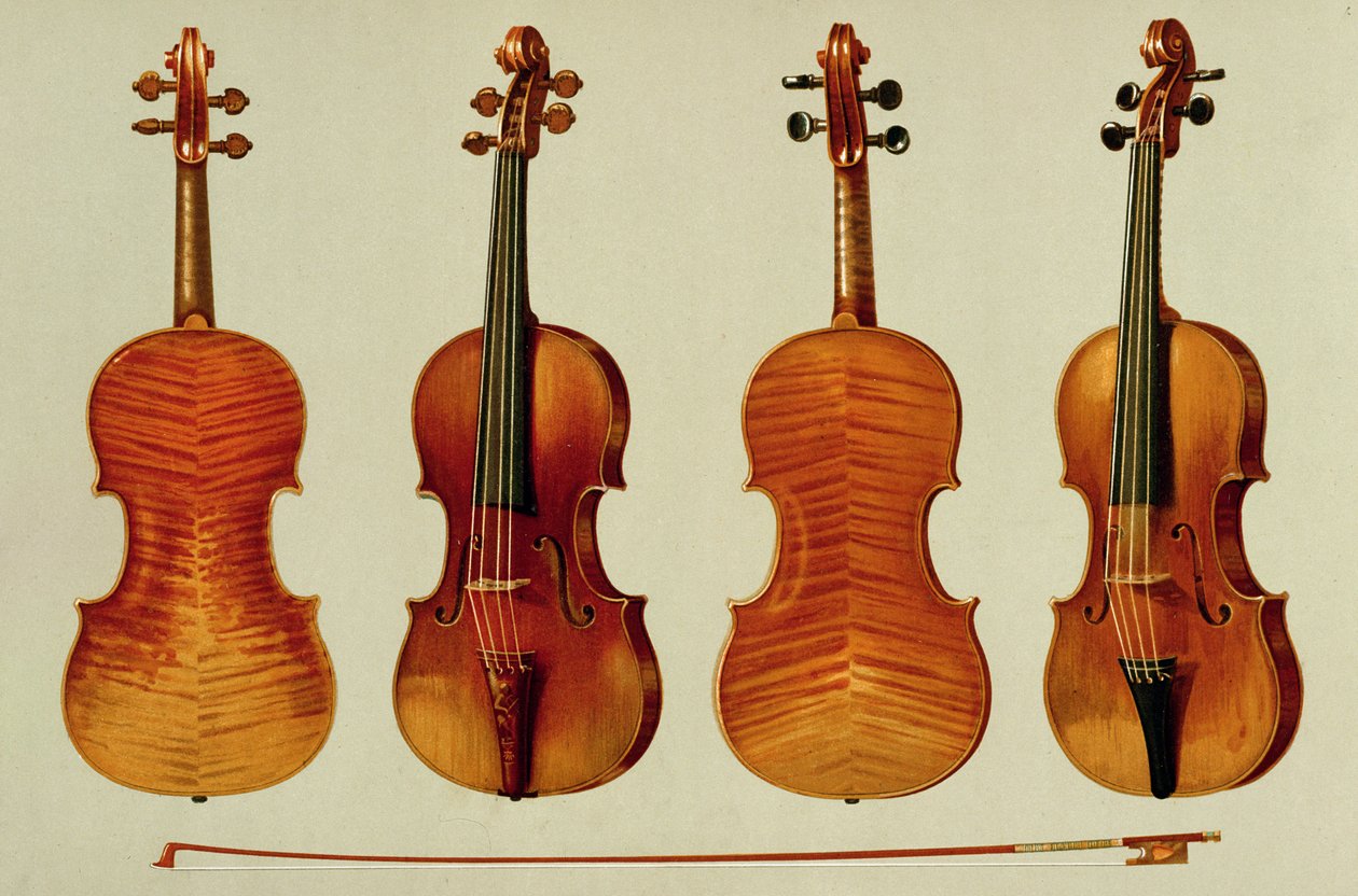Violins: the 
