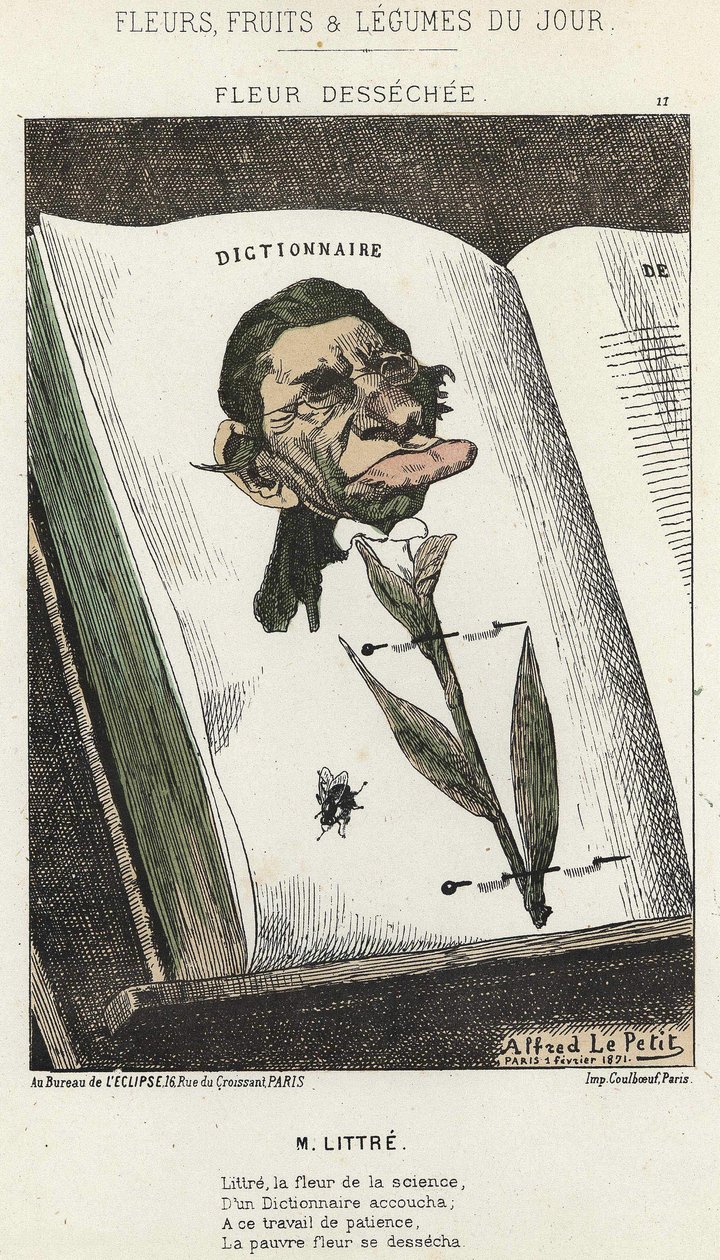 Déséchée flower: cartoon on Littré - ill. from 
