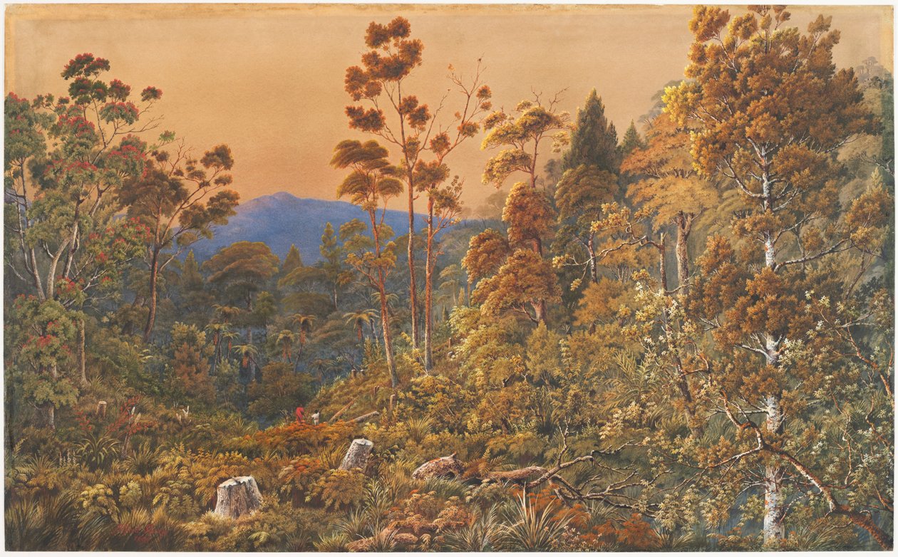 A Golden Eve, Waiheke Island by Alfred Sharpe