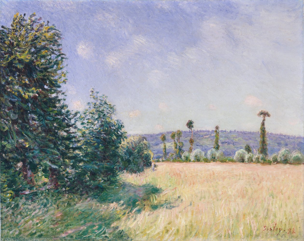 Sahurs Meadows in Morning Sun, 1894 by Alfred Sisley