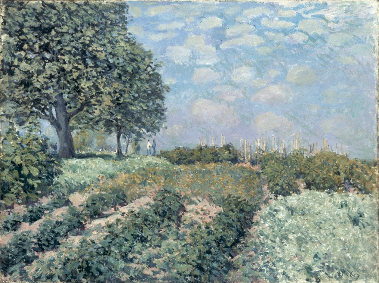 The Market Gardens by Alfred Sisley