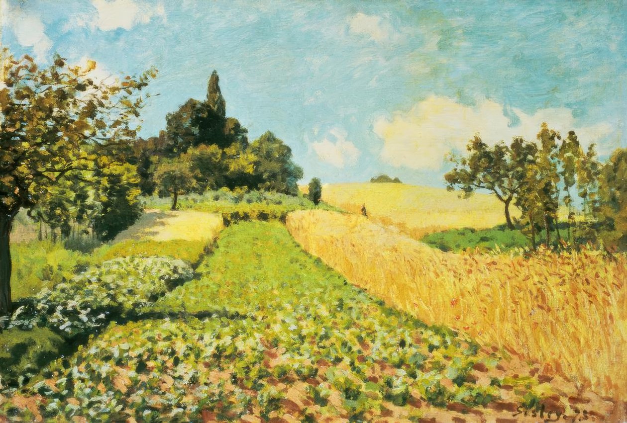 Wheat Field by Alfred Sisley