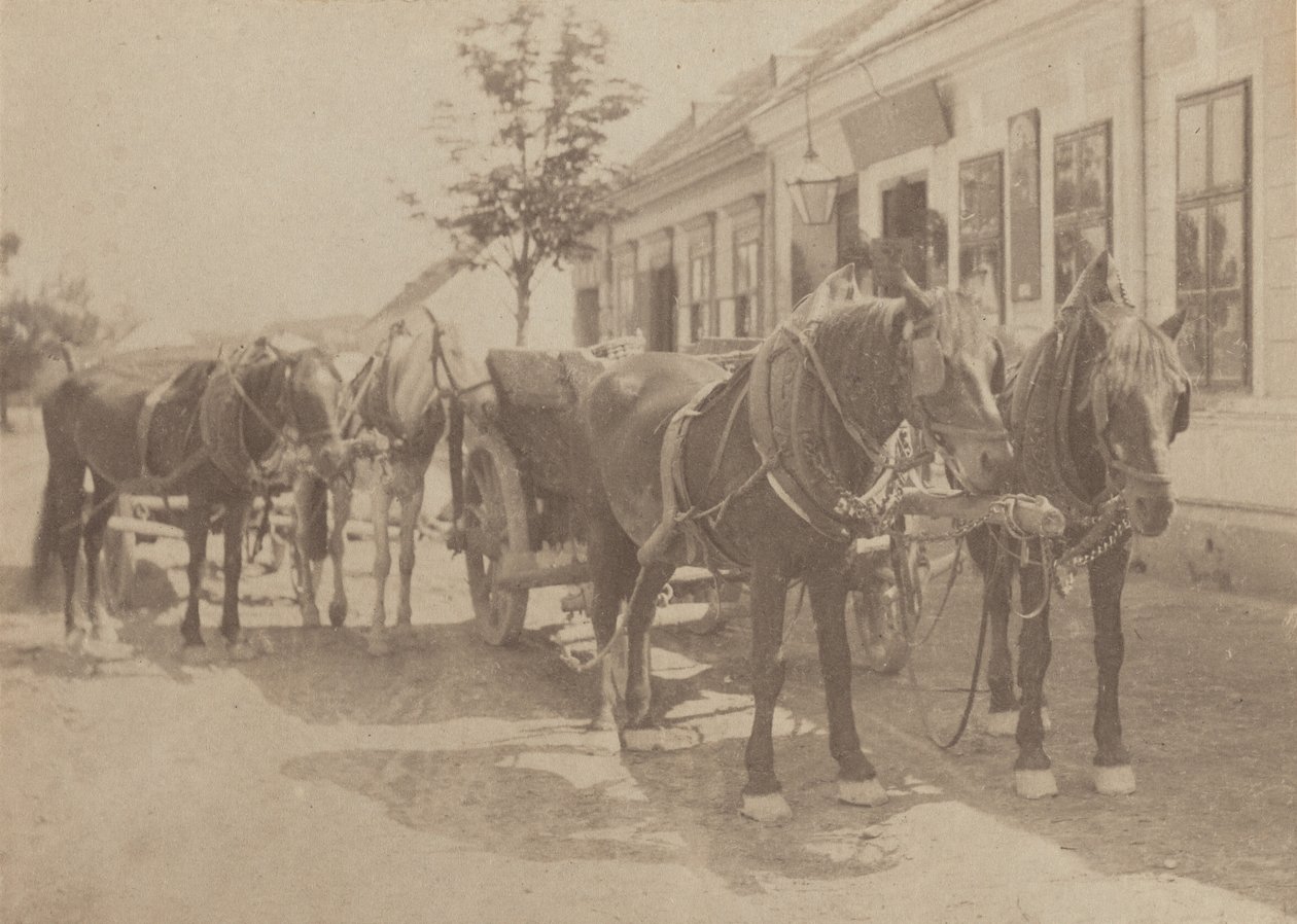 Before the Tavern by Alfred Stieglitz