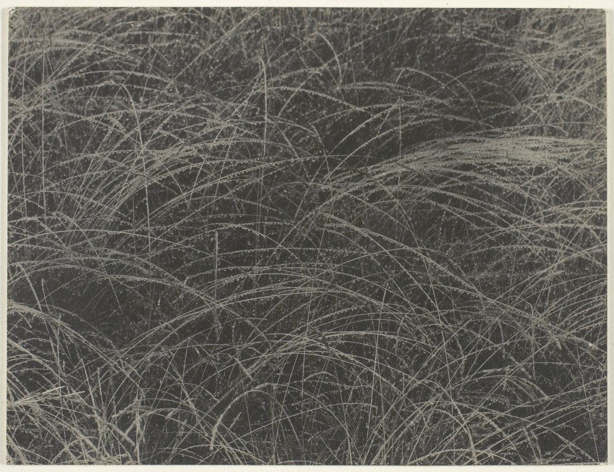 Equivalent by Alfred Stieglitz