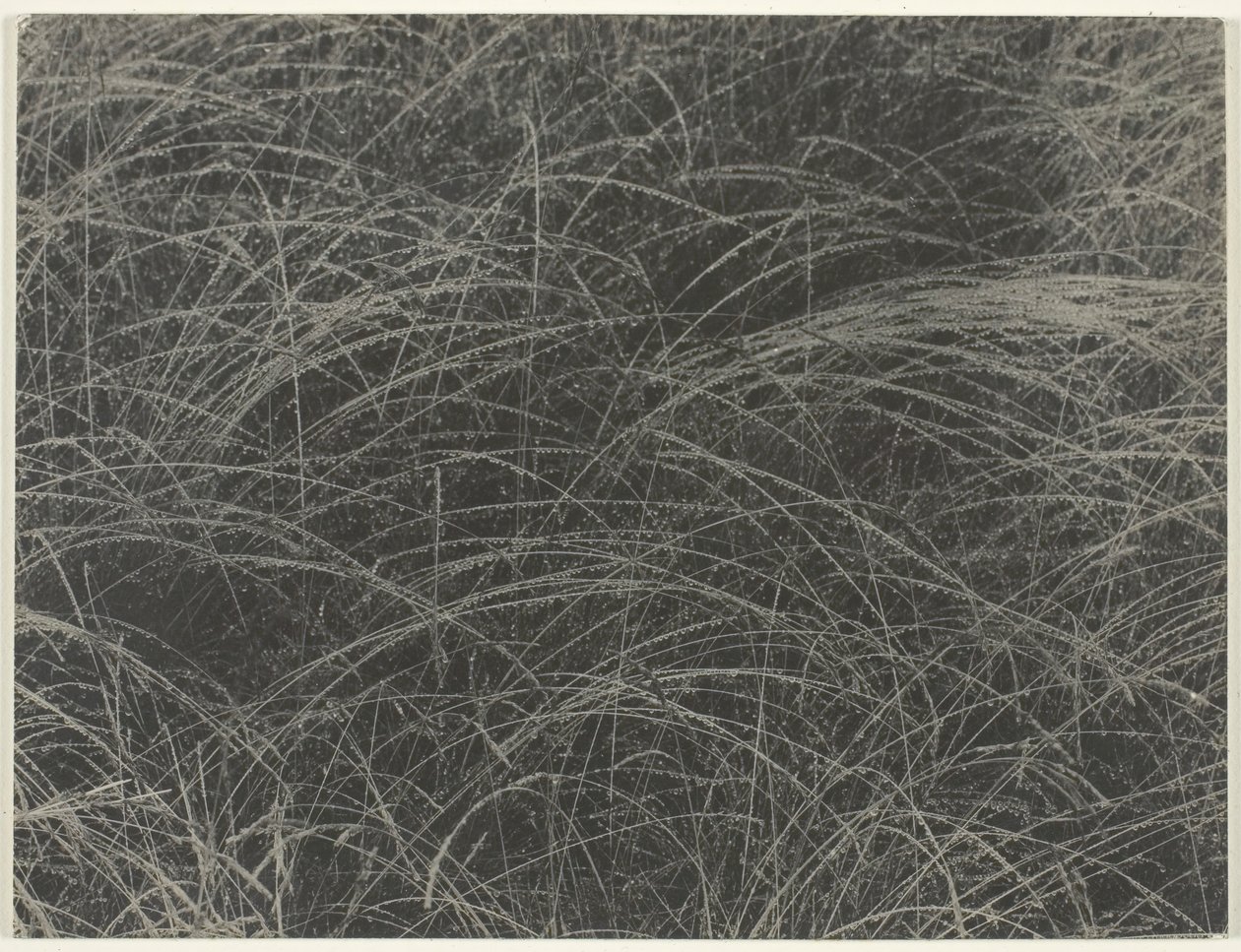 Equivalent by Alfred Stieglitz
