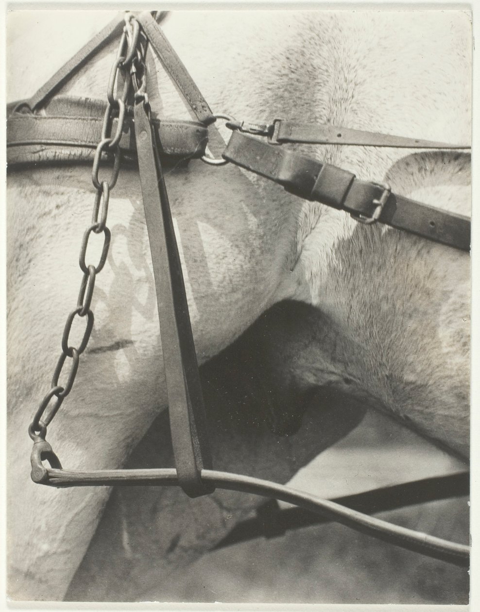 Equivalent, Spiritual America by Alfred Stieglitz