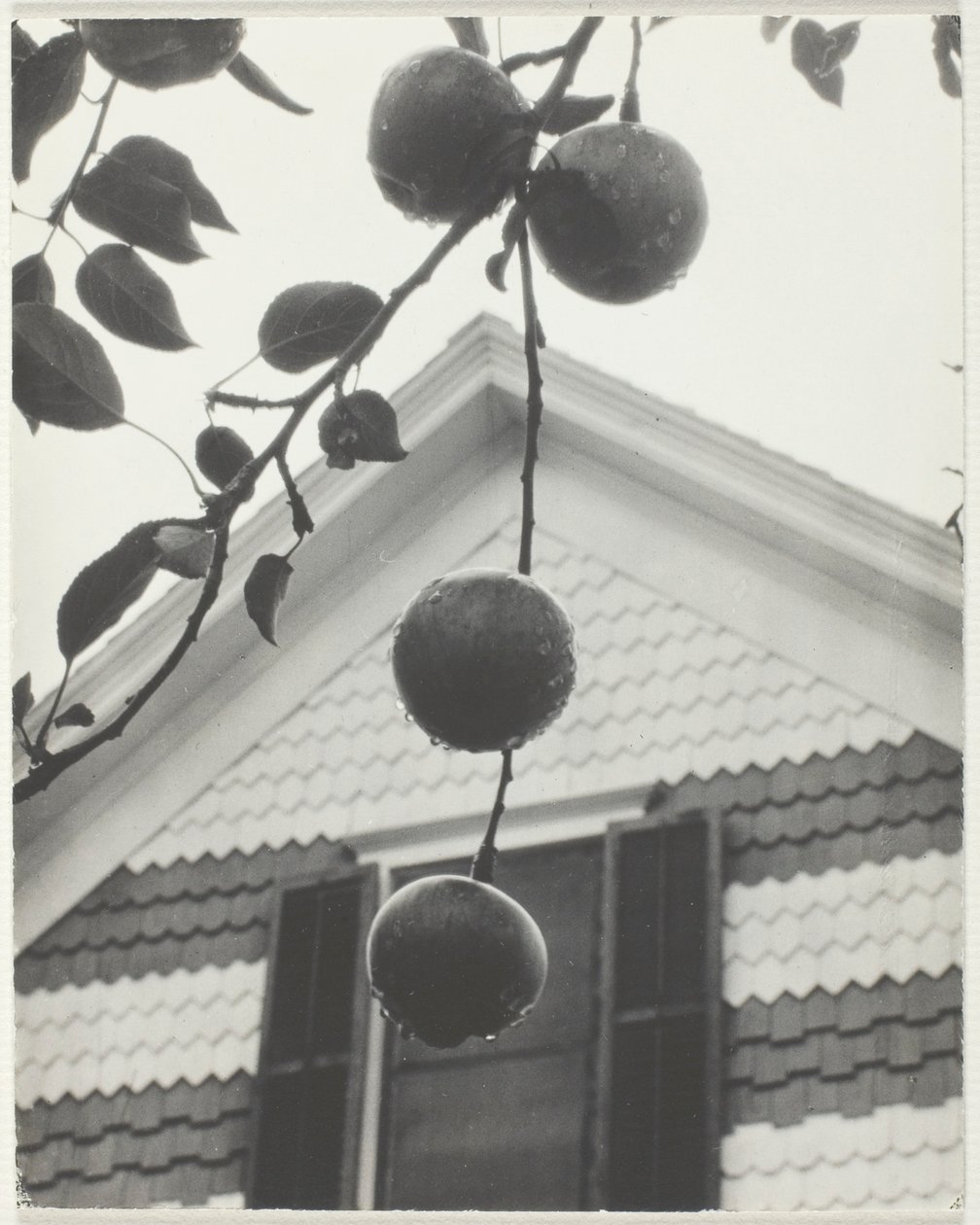 Gable and Apples by Alfred Stieglitz