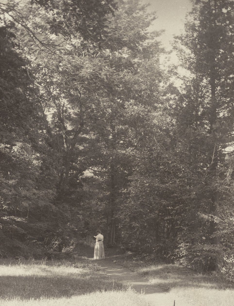 "Hedwigsweg" II, Lake George by Alfred Stieglitz
