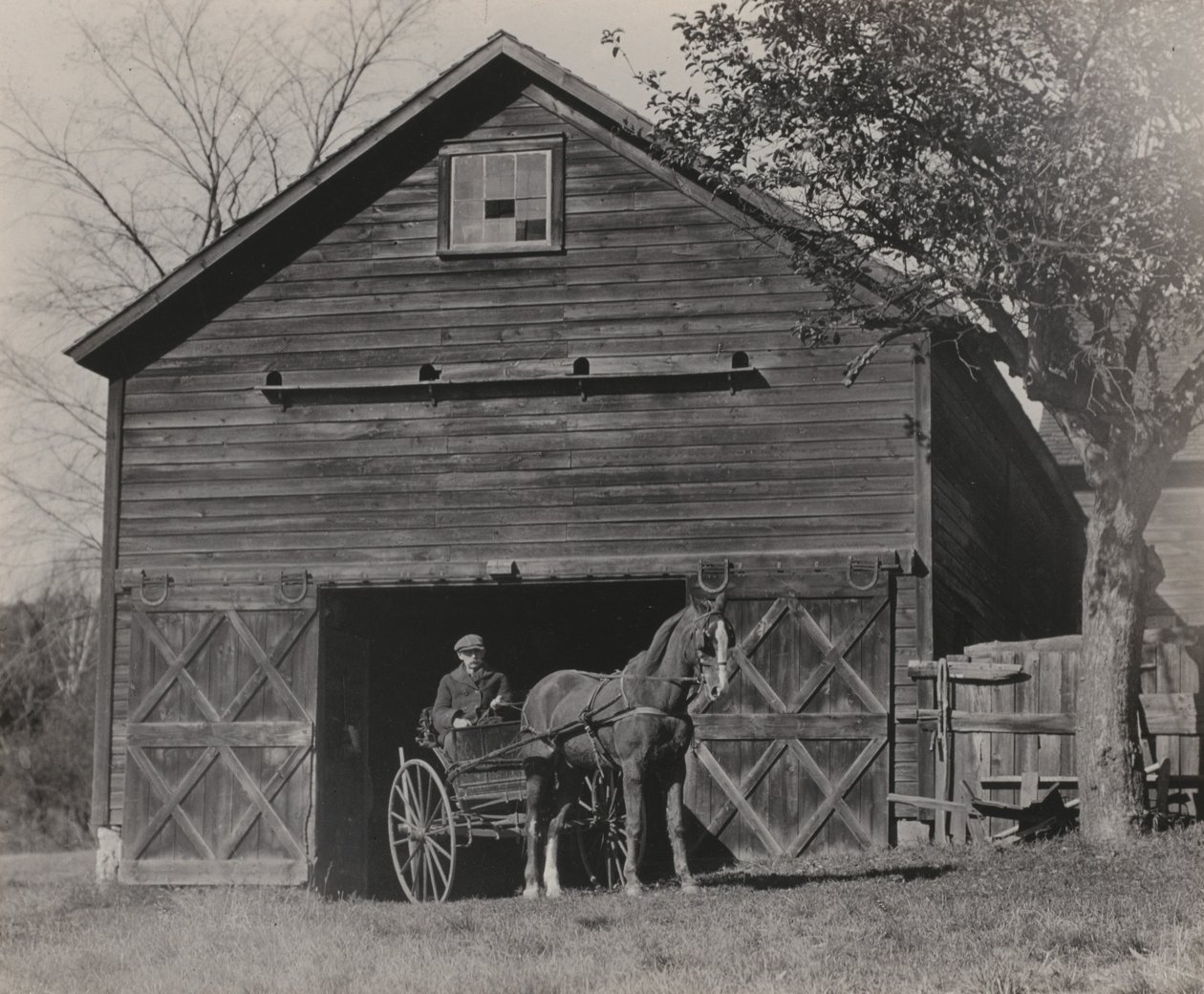 Horse and Carriage by Alfred Stieglitz